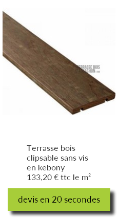 Terrasse bois clipsable sans vis en kebony